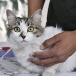 MIK0132-scaled-1.jpg