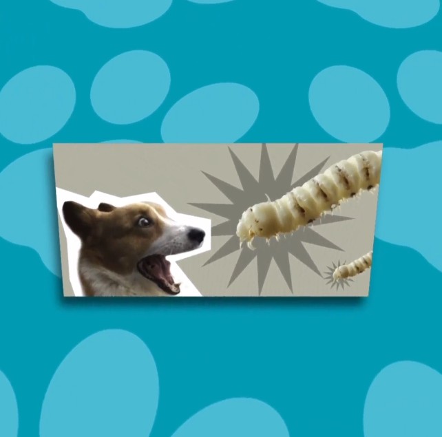Screenshot_20260603-212314.png