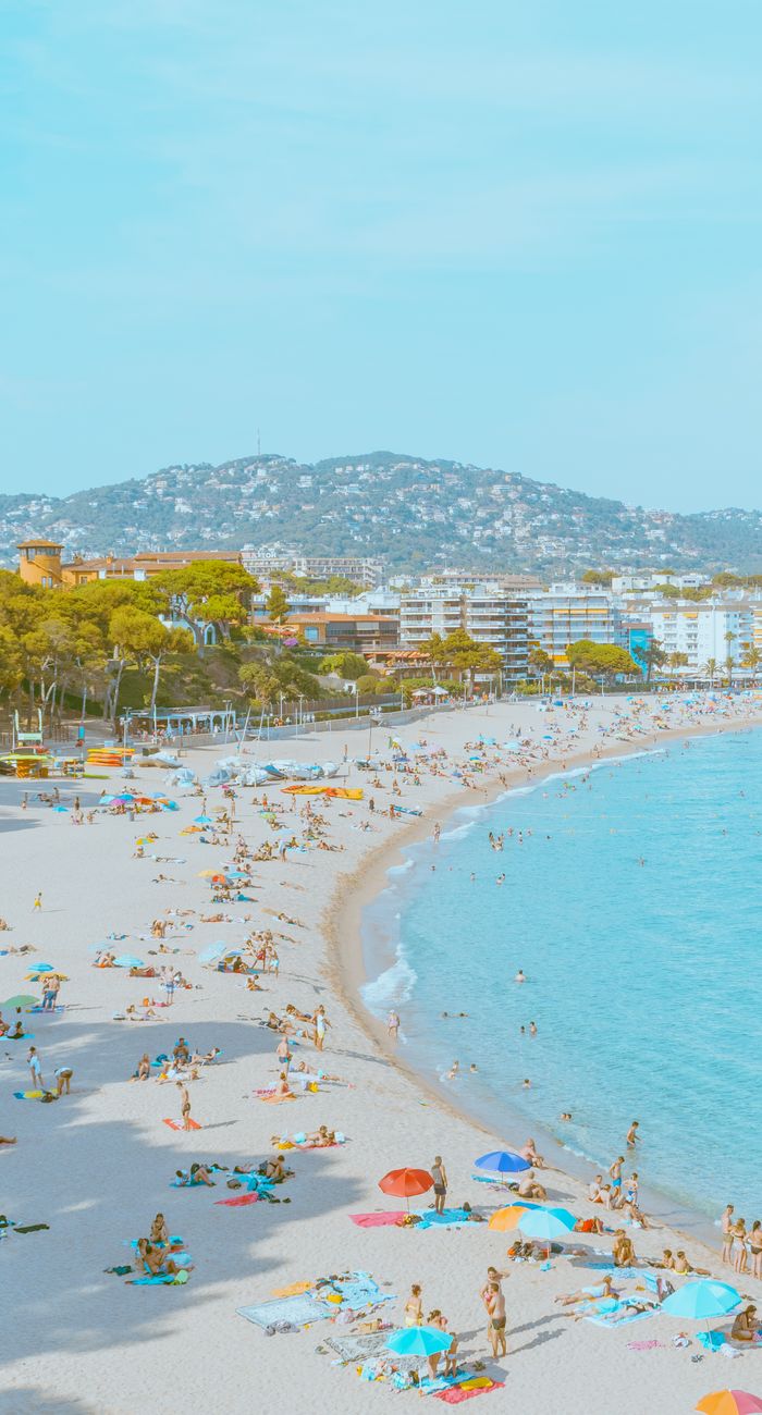 aerial view of people on the beach