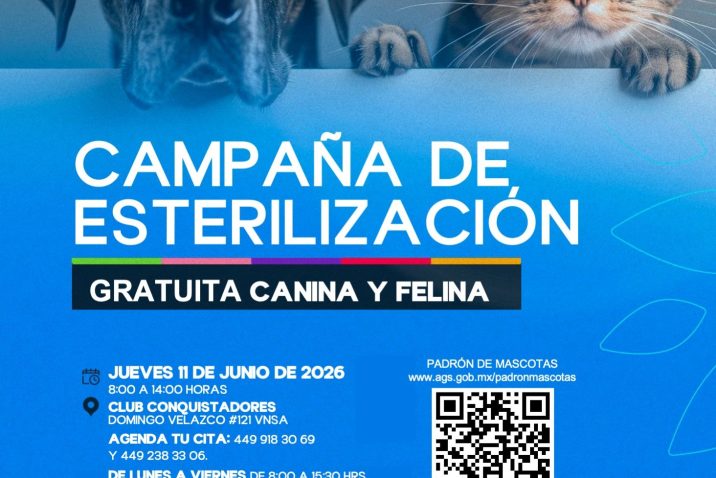 Boletin-32-Esterilizaciones-Villas-716x478