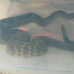 IMG-20260825-WA0132