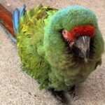 IMG-20260924-WA0043